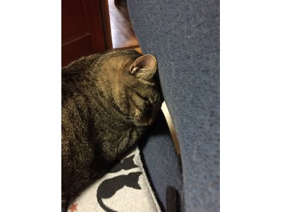 おはようございます。きょうも元気な笑顔で頑張りましょう。