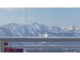 明日土曜日(祝日)はお休み
