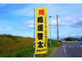ワールドカップラグビー2019