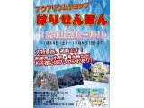 ただ今セール中!