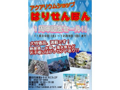 ただ今セール中！