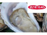 復興支援宮城県産生牡蠣230円・L４９０円