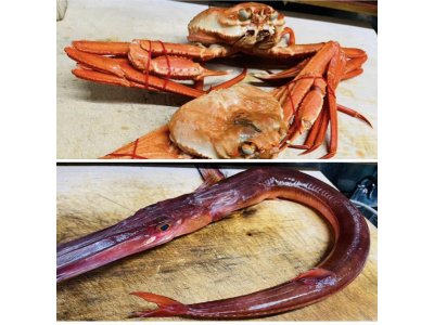 今朝も寒かったけど、頑張って市場に