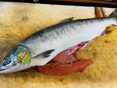 今日も頑張りますよ