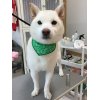 本日のお客様♪その2