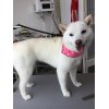 本日のお客様♪その2