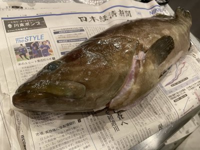 ミニサイクル??