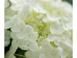 来週の予約状況　5/25-5/31