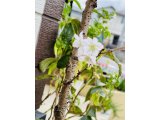 雨にも負けずしっかり営業いたします