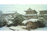 今シーズン初雪！北勢町(積雪15㎝～20㎝)