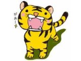 さあ、我がタイガース始動!