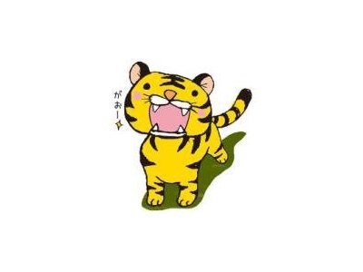 さあ、我がタイガース始動!