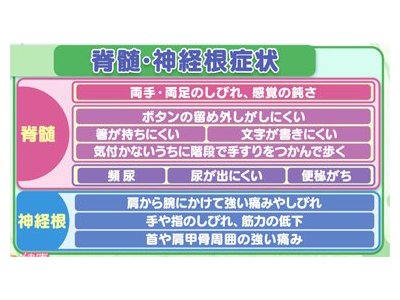 【神経根症状と脊髄症状について】