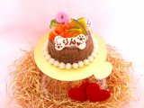 ◆お豆腐ケーキ【ベジタブルgarden】◆犬用ケーキ猫用ケーキペット用ケーキ