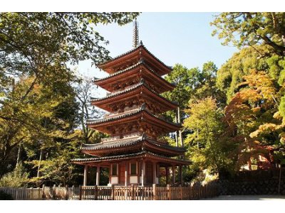 NO JOURNEY NO LIFE 京都第9弾 #122 海住山寺