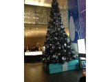 銀座　ティファニーのクリスマスツリー