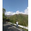 駄俳句