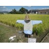 10/1（木）【佐賀県現地検査・佐賀県特別栽培農産物】