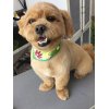 本日のお客様♪