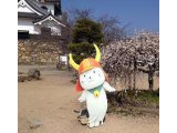 目的は正解することです