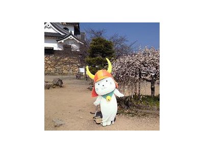 目的は正解することです
