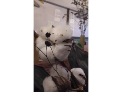店長のおすすめ☆