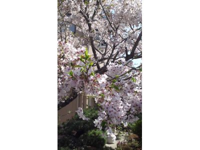 大将のおすすめ☆