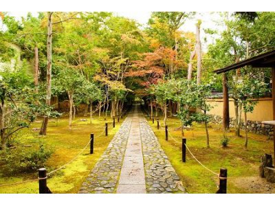 NO JOURNEY NO LIFE 京都第9弾 #142 鹿王院