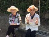 はいポーズ