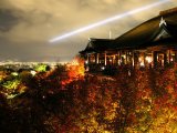 桜の名所、お花見スポット、京都清水寺！ 