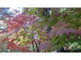 本日終日貸切です