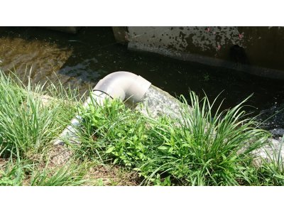 水田の落水