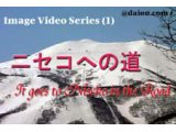 やっと温かくなって桜も咲き、ビージーズの「若葉のころ」が似合う季節になりましたね、草木も萌える！