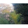 自分を磨いておくという事！