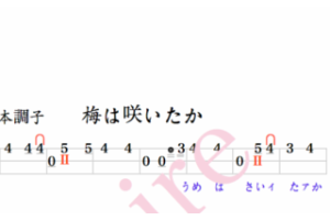 楽譜 流れ込ん 江戸小唄 端唄 三味線 はうた俗曲集 楽譜 流れ込ん 江戸小唄 端唄 三味線 はうた俗曲集
