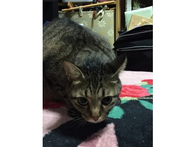 おはようございます。きょうも元気な笑顔でよろしくお願いいたします。