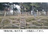 １２月１７日（月）春日若宮御祭礼　　お渡り式 松ノ下式「弓矢立合」