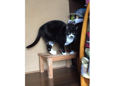おはようございます。きょうもハッピーな笑顔でよろしくお願いいたします。