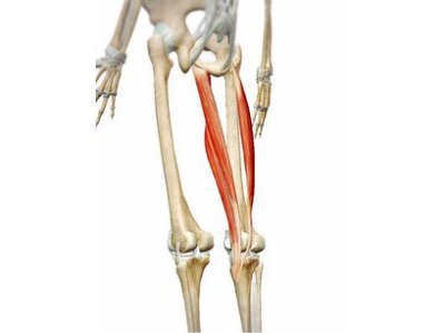膝の痛み