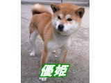 いよいよ、待ちに待ったお産の時期です。