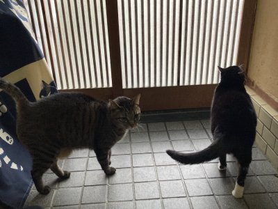 おはようございます。今週もハッピーな笑顔で頑張りましょう。