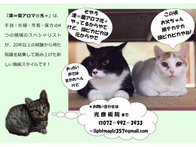 光療術院(ひかりりょうじゅついん)にゃんこ劇場