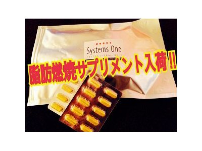 脂肪燃焼サプリメント入荷しました!