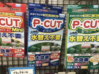 Ｐ－ＣＵＴ