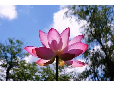 知らないはずがない