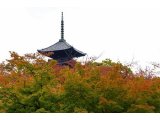 NO JOURNEY NO LIFE 京都第10弾 #146 「東寺」