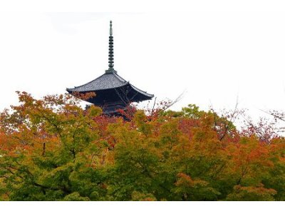 NO JOURNEY NO LIFE 京都第10弾 #146 「東寺」