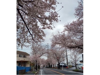 大黒屋鎌ヶ谷駅東口店