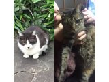 おはようございます。きょうも暖かい笑顔でよろしくお願いいたします。
