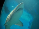 赤帽引越しの赤帽福岡マンサナ2運送、(福岡市中央区/赤帽福岡市)